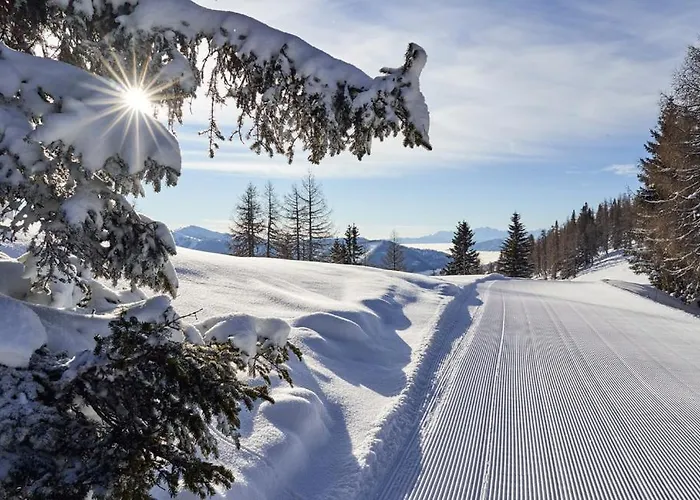 Panorama-appartement Bergglueck Appartement